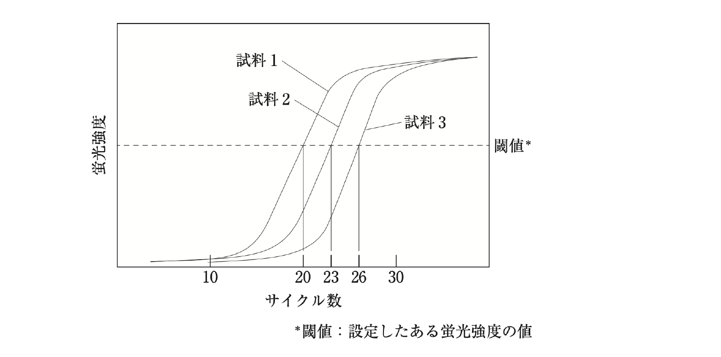 解説画像